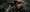LIEMKE_KEILER-2_LRF_Website_Performance_30x30